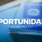 PAT Guarujá oferece novas oportunidades de emprego nesta quinta-feira; saiba quais - Imagem: reprodução Prefeitura de Guarujá
