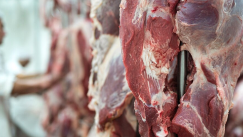 Açougues do Litoral de SP são multados por vender carne vencida. - Imagem: reprodução freepik