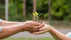 Bertioga inaugura Centro de Educação Ambiental; confira. - Imagem: reprodução /Freepik