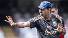 Fábio Carille vive pressão no comando técnico do Peixe - Imagem: Raul Baretta/ Santos FC