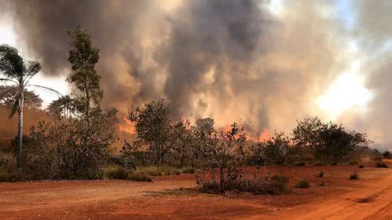 Alerta de incêndio é renovado em todo estado de São Paulo - Imagem: Reprodução/ Governo de SP