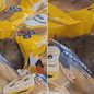 Vídeo gravado por cliente registrou a presença de um roedor em área de exposição de produtos na unidade do Tenda Atacado, no bairro Quietude, em Praia Grande - Imagem: Reprodução/Redes Sociais