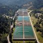 Tarifa Social da Sabesp triplica e alcança mais de 95 mil famílias na Baixada Santista - Imagem: Divulgação