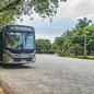 Bertioga amplia linhas de ônibus sem reajuste na tarifa de R$ 5,50; veja as mudanças - Imagem: Divulgação