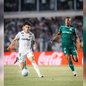 Foto: Raul Baretta/ Santos FC
