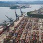 O Brasil exportou 3,89 milhões de sacas de café em setembro, um aumento de 3,1% em relação ao ano anterior, com os EUA liderando as importações - Foto: Divulgação/ Porto de Santos