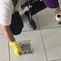 Além da operação em hotéis, Guarujá mantém vigilância constante com mutirões e controle biológico para prevenir surtos de dengue e chikungunya - Imagem: Divulgação / Prefeitura de Guarujá
