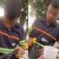 Vitima relatou o ocorrido ao vendedor de Café que publicou o vídeo nas redes sociais - Imagem: G1 Santos
