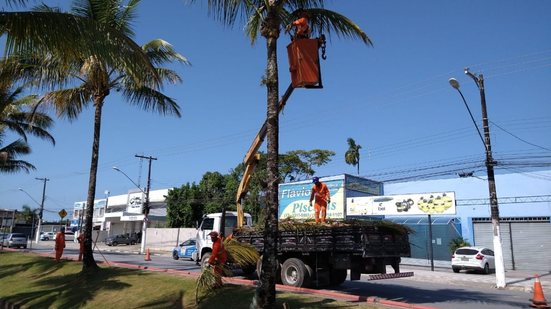 Cata-Poda - Imagem: Reprodução/ Prefeitura de Bertioga