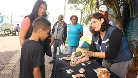 As inscrições para os cursos on-line estão abertas até o dia 6 de julho - Imagem: Prefeitura de Santos