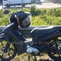 A Honda Biz ficou danificada e foi retirada da pista, enquanto o Honda Fit sofreu danos menores e seguiu viagem após a liberação - Foto: Divulgação/ Portal CCM - ARTESP