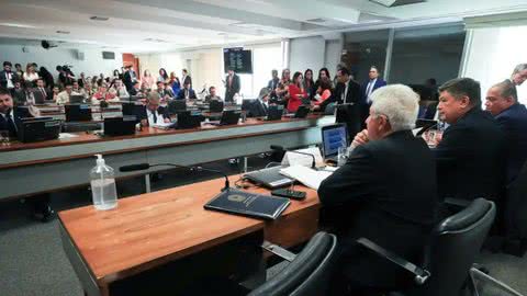 A comissão também colheu 100 manifestações de especialistas - Imagem: Twitter/ @rdguaibaoficial