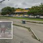 Cavalo foi registrado dentro de um ponto de ônibus na Avenida Santos Dumont, no Guarujá, durante a chuva de segunda-feira (14) - Imagem: Reprodução e Bruno Souza