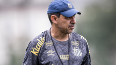 Faltam cinco partidas para o Santos encerrar sua participação na atual edição da Série B do Campeonato Brasileiro - Imagem: Raul Baretta/ Santos FC