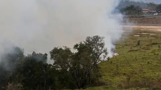 Produtores rurais terão fundo após incêndio em SP - Imagem: Reprodução/ Paulo Pinto/ Agência Brasil