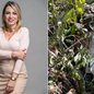 Juliana Maria Teixeira da Costa, vice-prefeita de Ribeira, morreu aos 40 anos em um acidente de carro no sábado (26) - Imagem: Reprodução
