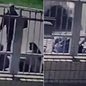 Mulher de 29 anos morreu após passar mal durante uma discussão com o companheiro, na noite de quinta-feira (8), na orla de Praia Grande - Imagem: Reprodução