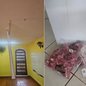 Objetos utilizados na rotina de atendimento e itens da estrutura do instituto foram danificados ou levados durante a invasão registrada em Guarujá - Imagem: Arquivo Pessoal