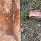Caixa de concreto onde ossada humana foi encontrada em terreno de Itanhaém; objeto infantil localizado junto aos restos mortais chamou atenção durante a ocorrência - Imagem: GCM Itanhaém