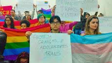 "Aberrações": vereadora de SP ofende comunidade LGBT e causa onda de protestos - Imagem: reprodução Diário de S.Paulo