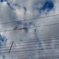 Pipas provocaram 689 interrupções no fornecimento de energia elétrica em quatro cidades da Baixada Santista entre janeiro e setembro de 2026, segundo a CPFL Piratininga - Imagem: Divulgação/imagem ilustrativa