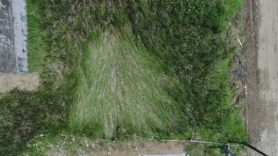 Cidade no litoral terá encontro ufológico - Imagem: Divulgação/ Prefeitura de Peruíbe