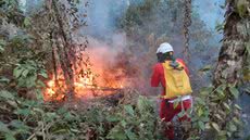 Estação das flores começa com alerta para incêndio em São Paulo - Imagem: Reprodução/ Agência SP