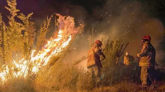 Mais de 11 milhões de hectares foram atingidos pelo fogo no Brasil - Imagem: Divulgação/ Corpo de Bombeiros