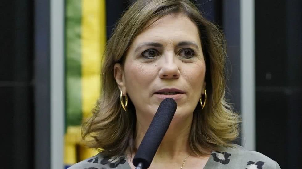 Rosana Valle. - Imagem: Reprodução | Senado Federal