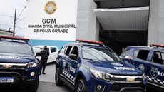 Os agentes estavam em patrulhamento nas proximidades e intervieram ao avistarem a situação - Imagem: Arquivo / Reprodução/Prefeitura de Praia Grande