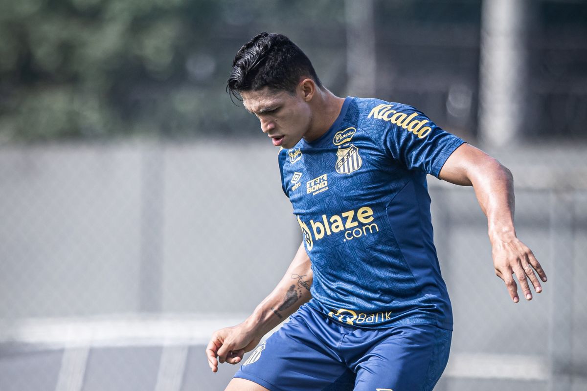 Rodrigo Ferreira atuou em 12 jogos pelo Santos na Série B - Imagem: Flickr/Santos